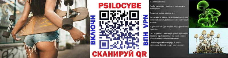 Псилоцибиновые грибы GOLDEN TEACHER  KRAKEN tor  Звенигород 